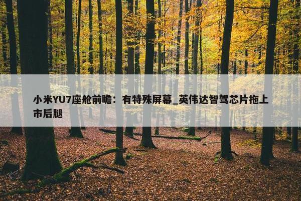 小米YU7座舱前瞻：有特殊屏幕_英伟达智驾芯片拖上市后腿