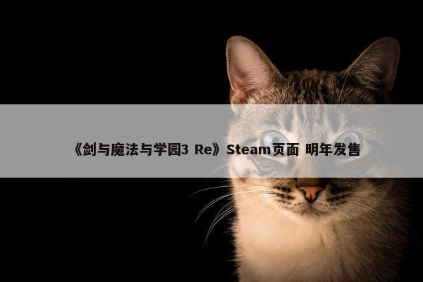 《剑与魔法与学园3 Re》Steam页面 明年发售