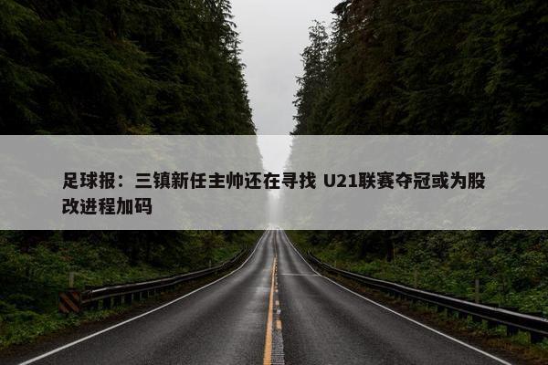 足球报：三镇新任主帅还在寻找 U21联赛夺冠或为股改进程加码