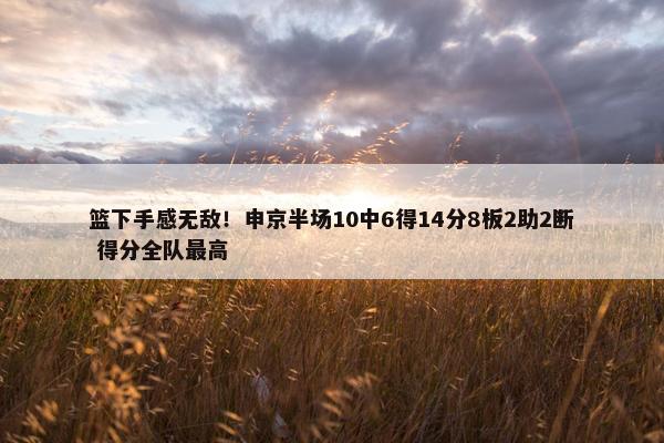 篮下手感无敌！申京半场10中6得14分8板2助2断 得分全队最高