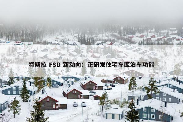 特斯拉 FSD 新动向：正研发住宅车库泊车功能