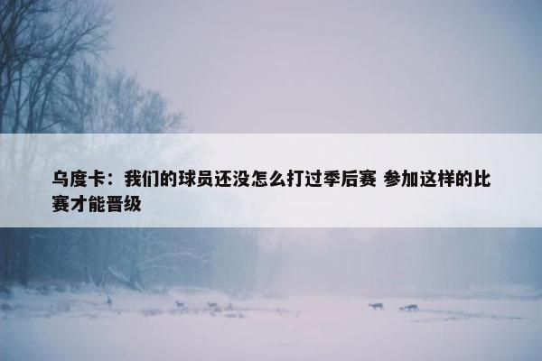 乌度卡：我们的球员还没怎么打过季后赛 参加这样的比赛才能晋级