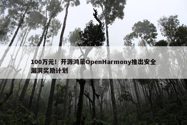 100万元！开源鸿蒙OpenHarmony推出安全漏洞奖励计划