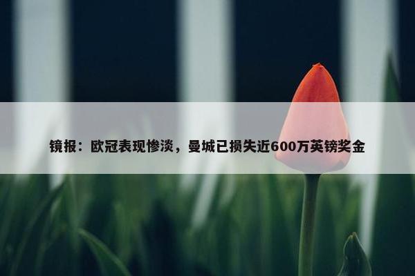 镜报：欧冠表现惨淡，曼城已损失近600万英镑奖金