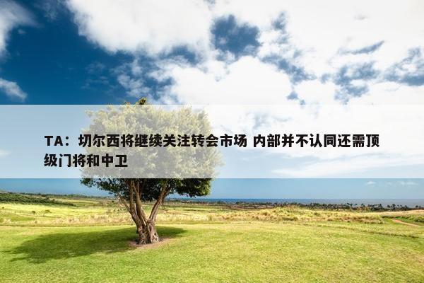 TA：切尔西将继续关注转会市场 内部并不认同还需顶级门将和中卫