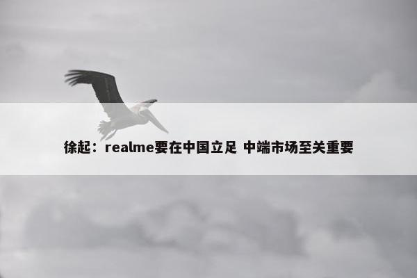 徐起：realme要在中国立足 中端市场至关重要