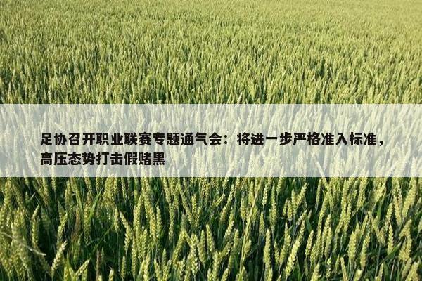 足协召开职业联赛专题通气会：将进一步严格准入标准，高压态势打击假赌黑