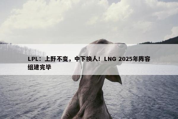 LPL：上野不变，中下换人！LNG 2025年阵容组建完毕