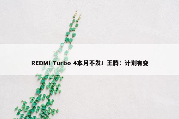 REDMI Turbo 4本月不发！王腾：计划有变