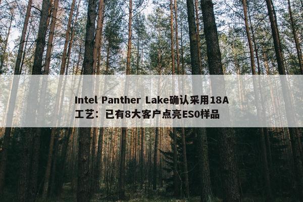 Intel Panther Lake确认采用18A工艺：已有8大客户点亮ES0样品