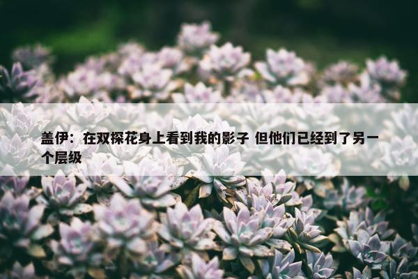 盖伊：在双探花身上看到我的影子 但他们已经到了另一个层级