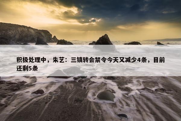 积极处理中，朱艺：三镇转会禁令今天又减少4条，目前还剩5条