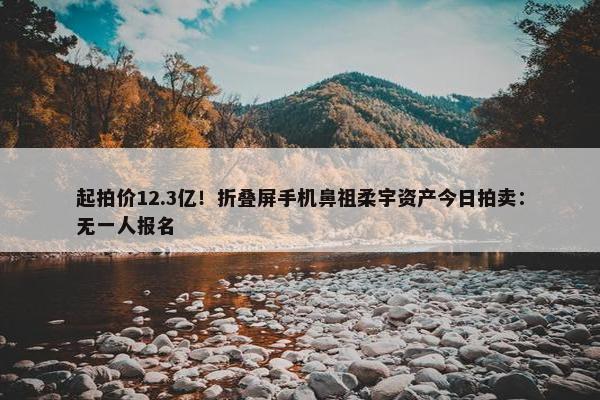 起拍价12.3亿！折叠屏手机鼻祖柔宇资产今日拍卖：无一人报名