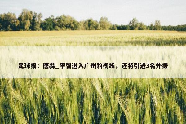 足球报：唐淼_李智进入广州豹视线，还将引进3名外援