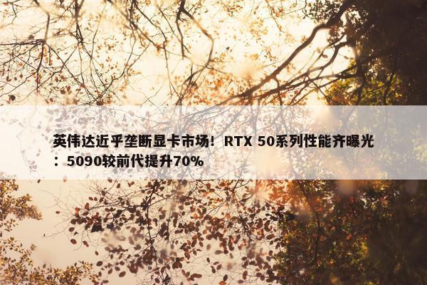 英伟达近乎垄断显卡市场！RTX 50系列性能齐曝光：5090较前代提升70%