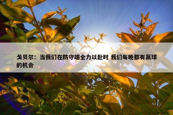 戈贝尔：当我们在防守端全力以赴时 我们每晚都有赢球的机会