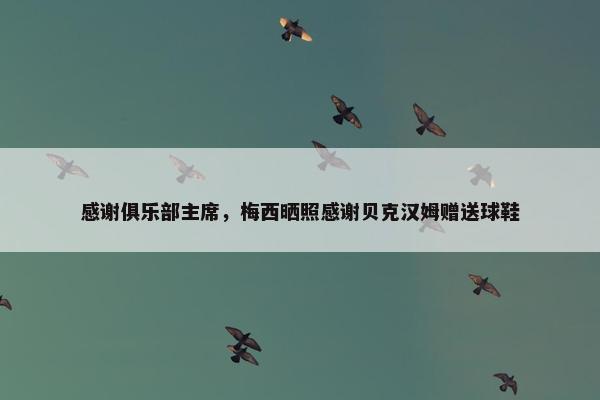 感谢俱乐部主席，梅西晒照感谢贝克汉姆赠送球鞋