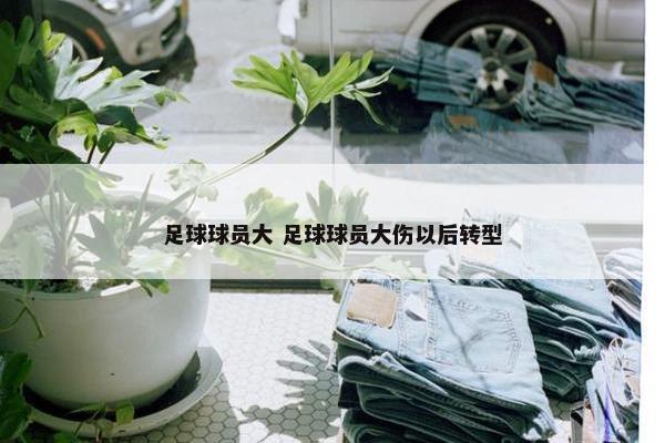 足球球员大 足球球员大伤以后转型