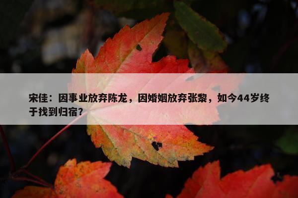 宋佳：因事业放弃陈龙，因婚姻放弃张黎，如今44岁终于找到归宿？