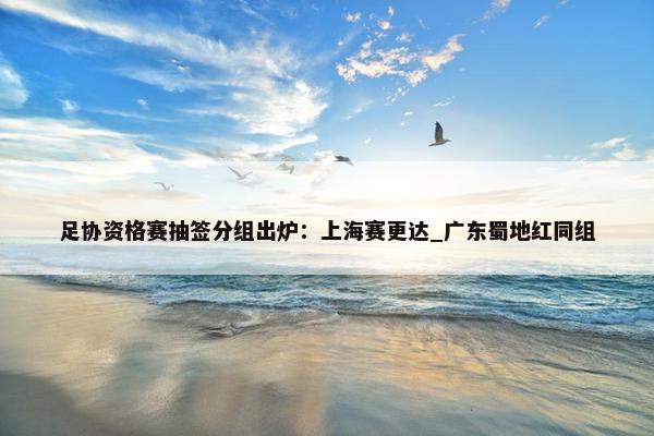 足协资格赛抽签分组出炉：上海赛更达_广东蜀地红同组