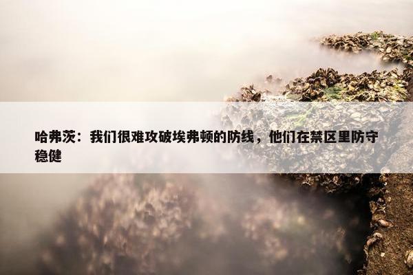 哈弗茨：我们很难攻破埃弗顿的防线，他们在禁区里防守稳健