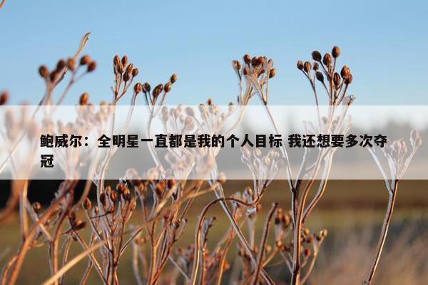 鲍威尔：全明星一直都是我的个人目标 我还想要多次夺冠