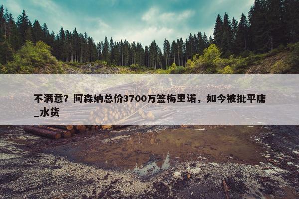 不满意？阿森纳总价3700万签梅里诺，如今被批平庸_水货