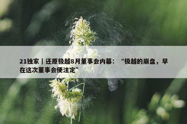 21独家｜还原极越8月董事会内幕：“极越的崩盘，早在这次董事会便注定”