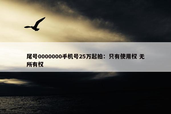 尾号0000000手机号25万起拍：只有使用权 无所有权