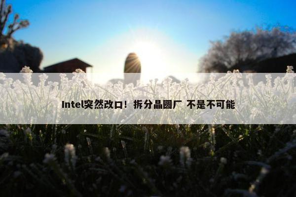 Intel突然改口！拆分晶圆厂 不是不可能