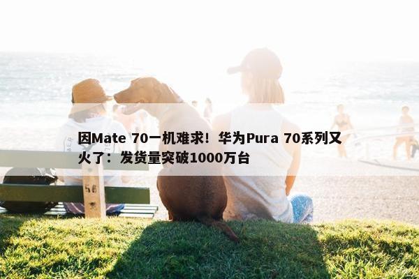 因Mate 70一机难求！华为Pura 70系列又火了：发货量突破1000万台