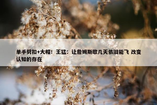 单手劈扣+大帽！王猛：让詹姆斯歇几天依旧能飞 改变认知的存在