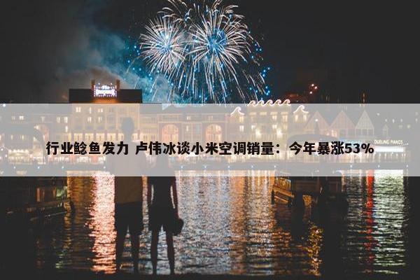 行业鲶鱼发力 卢伟冰谈小米空调销量：今年暴涨53%