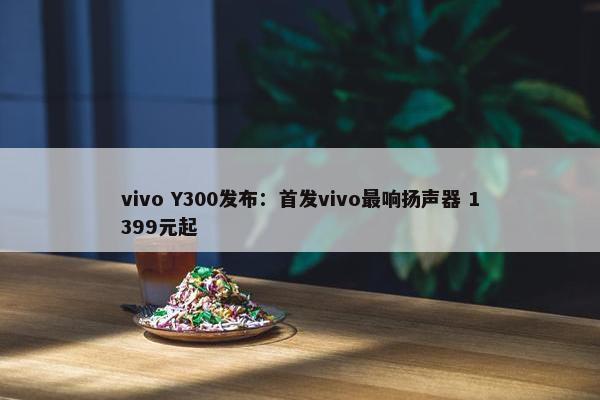 vivo Y300发布：首发vivo最响扬声器 1399元起