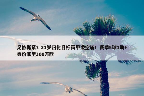 足协抓紧？21岁归化目标荷甲凌空斩！赛季5球1助+身价涨至300万欧