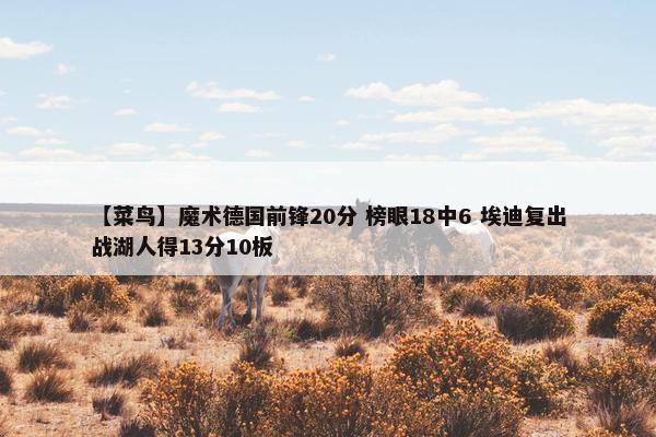 【菜鸟】魔术德国前锋20分 榜眼18中6 埃迪复出战湖人得13分10板