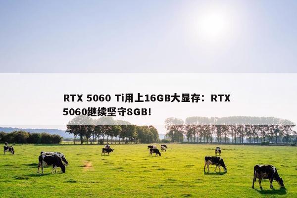 RTX 5060 Ti用上16GB大显存：RTX 5060继续坚守8GB！