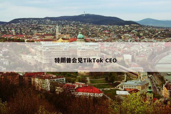 特朗普会见TikTok CEO