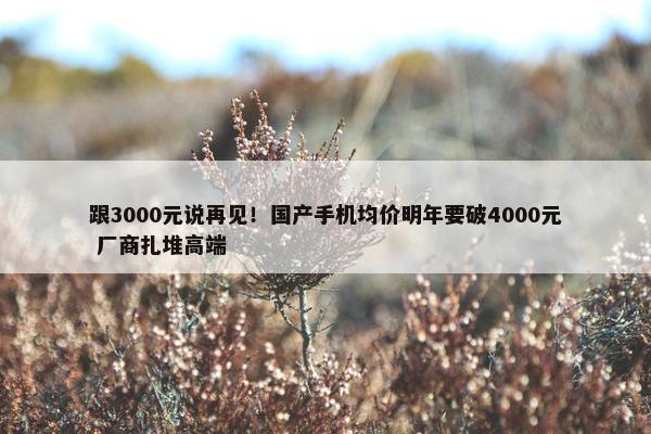 跟3000元说再见！国产手机均价明年要破4000元 厂商扎堆高端