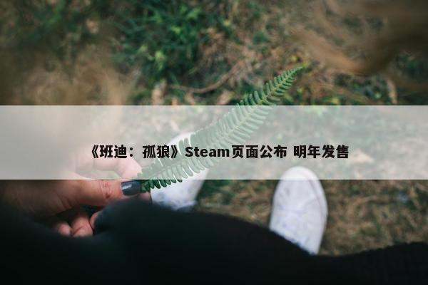 《班迪：孤狼》Steam页面公布 明年发售