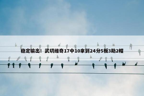 稳定输出！武切维奇17中10拿到24分5板3助2帽