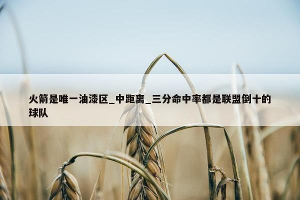 火箭是唯一油漆区_中距离_三分命中率都是联盟倒十的球队