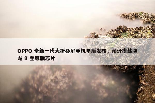 OPPO 全新一代大折叠屏手机年后发布，预计搭载骁龙 8 至尊版芯片