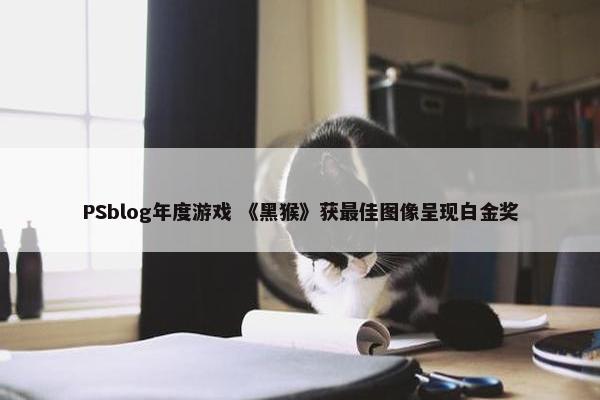 PSblog年度游戏 《黑猴》获最佳图像呈现白金奖