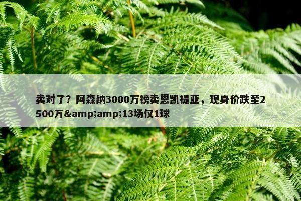 卖对了？阿森纳3000万镑卖恩凯提亚，现身价跌至2500万&amp;13场仅1球