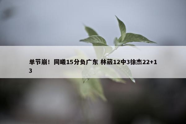 单节崩！同曦15分负广东 林葳12中3徐杰22+13