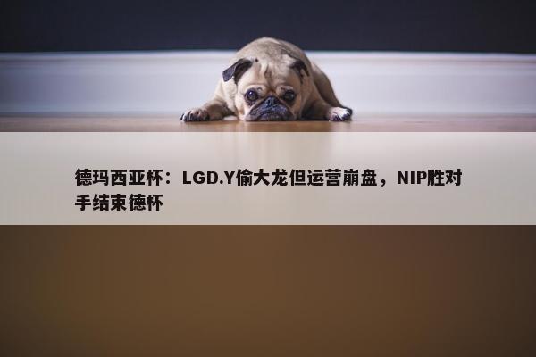 德玛西亚杯：LGD.Y偷大龙但运营崩盘，NIP胜对手结束德杯