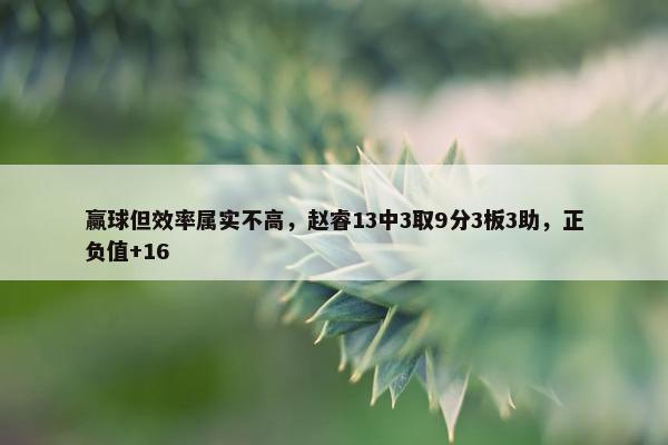 赢球但效率属实不高，赵睿13中3取9分3板3助，正负值+16