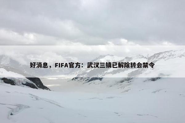 好消息，FIFA官方：武汉三镇已解除转会禁令