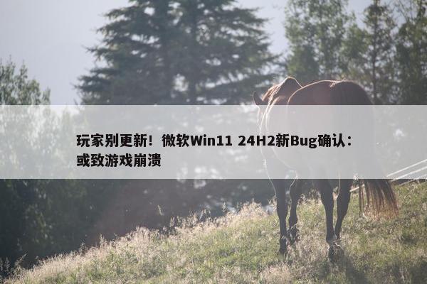 玩家别更新！微软Win11 24H2新Bug确认：或致游戏崩溃